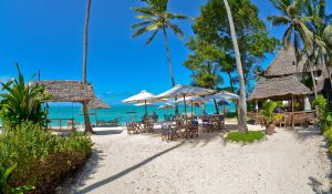 Earth Safari - Zanzibar - Blue Oyster Hotel